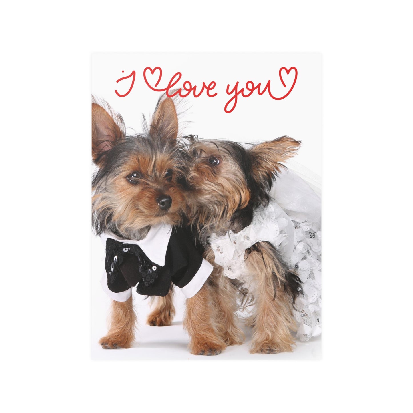Satin Posters (210gsm) Adult/Teen Accesories