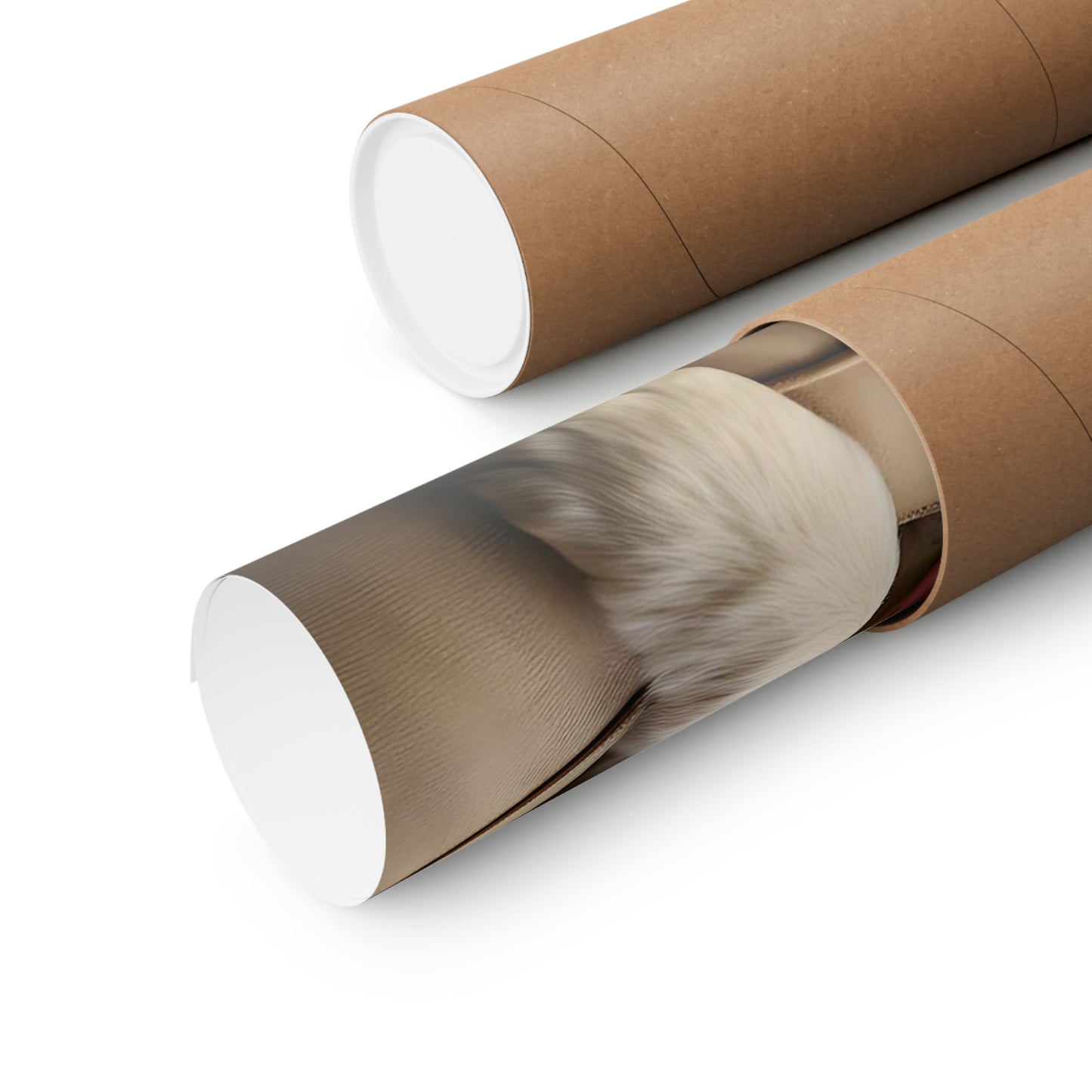 Matte Horizontal Posters Teen/Kids Accessories Decor