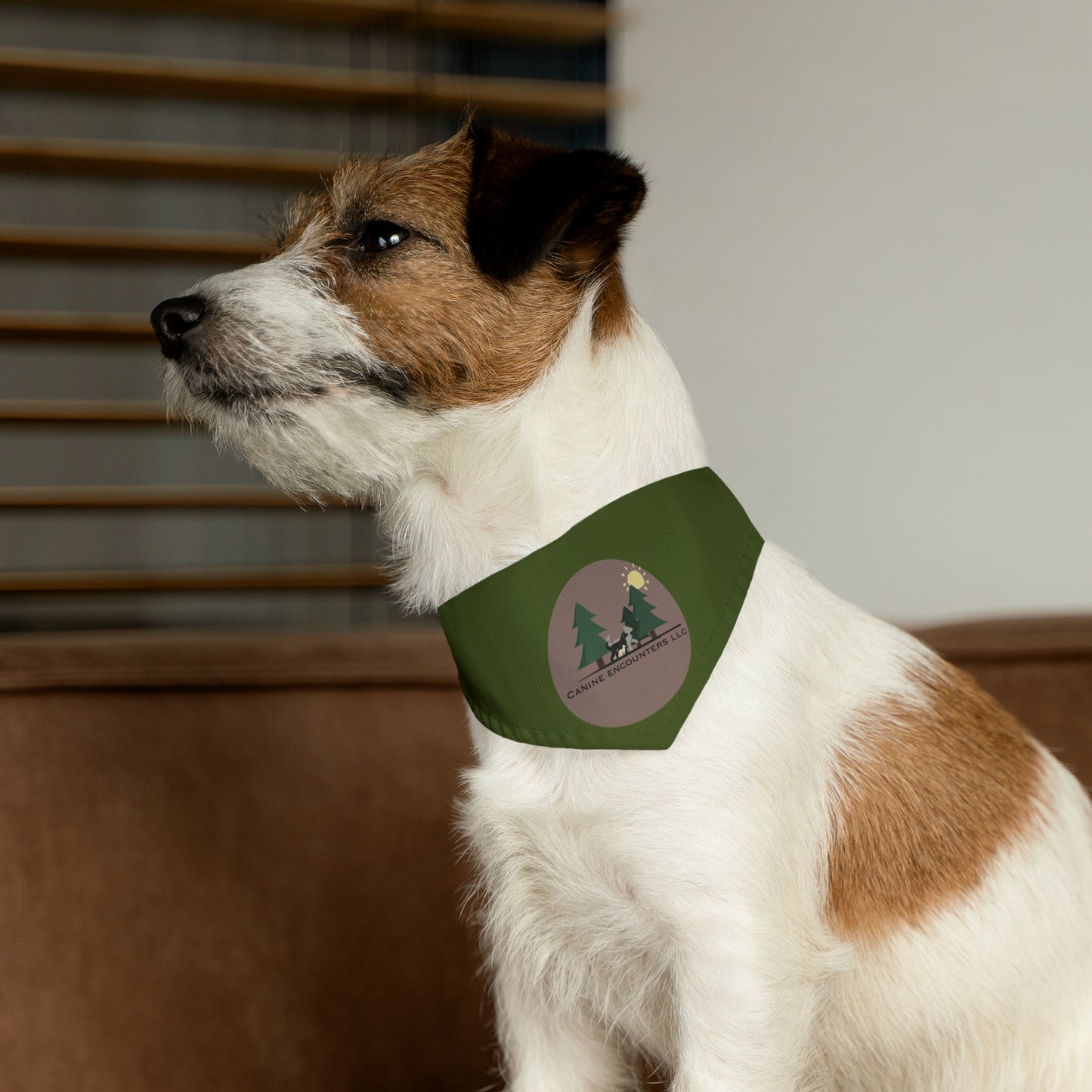 Samples Washable Pet Bandana Collar For Lost Pup