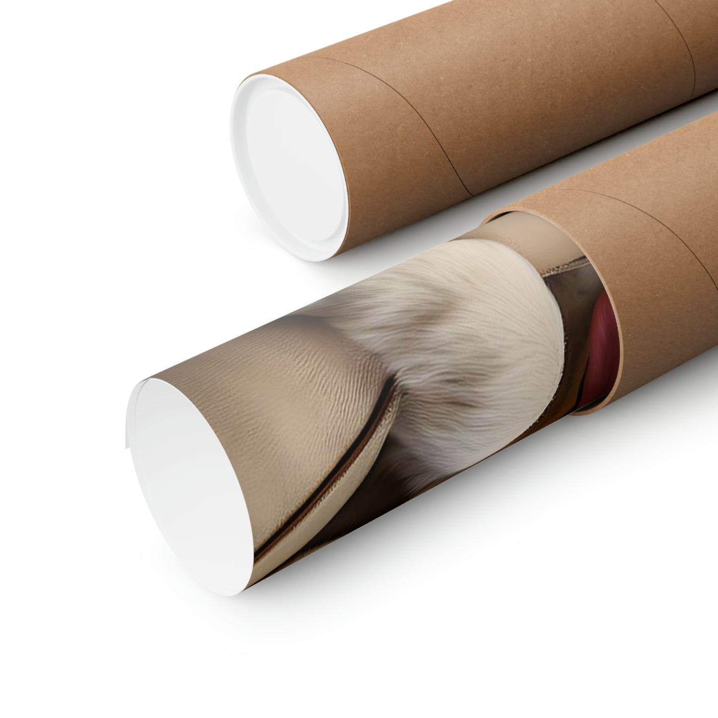 Matte Horizontal Posters Teen/Kids Accessories Decor