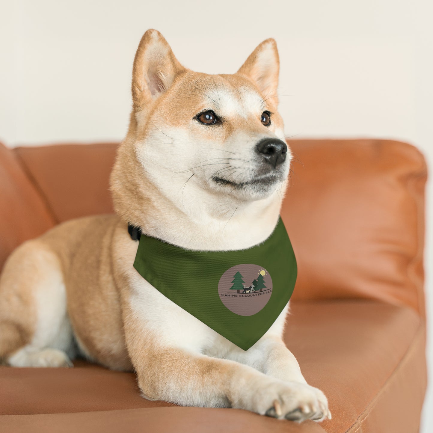 Samples Washable Pet Bandana Collar For Lost Pup