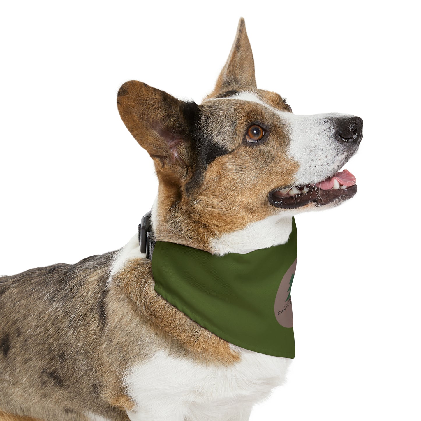 Samples Washable Pet Bandana Collar For Lost Pup