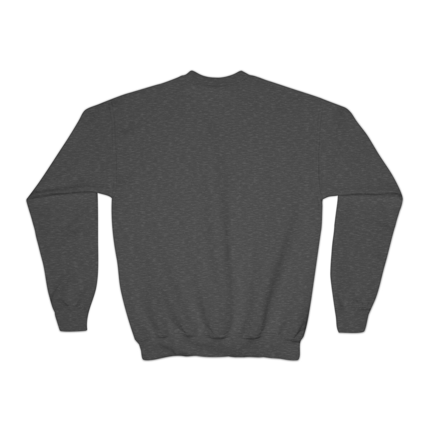 Youth Crewneck Sweatshirt Activewear