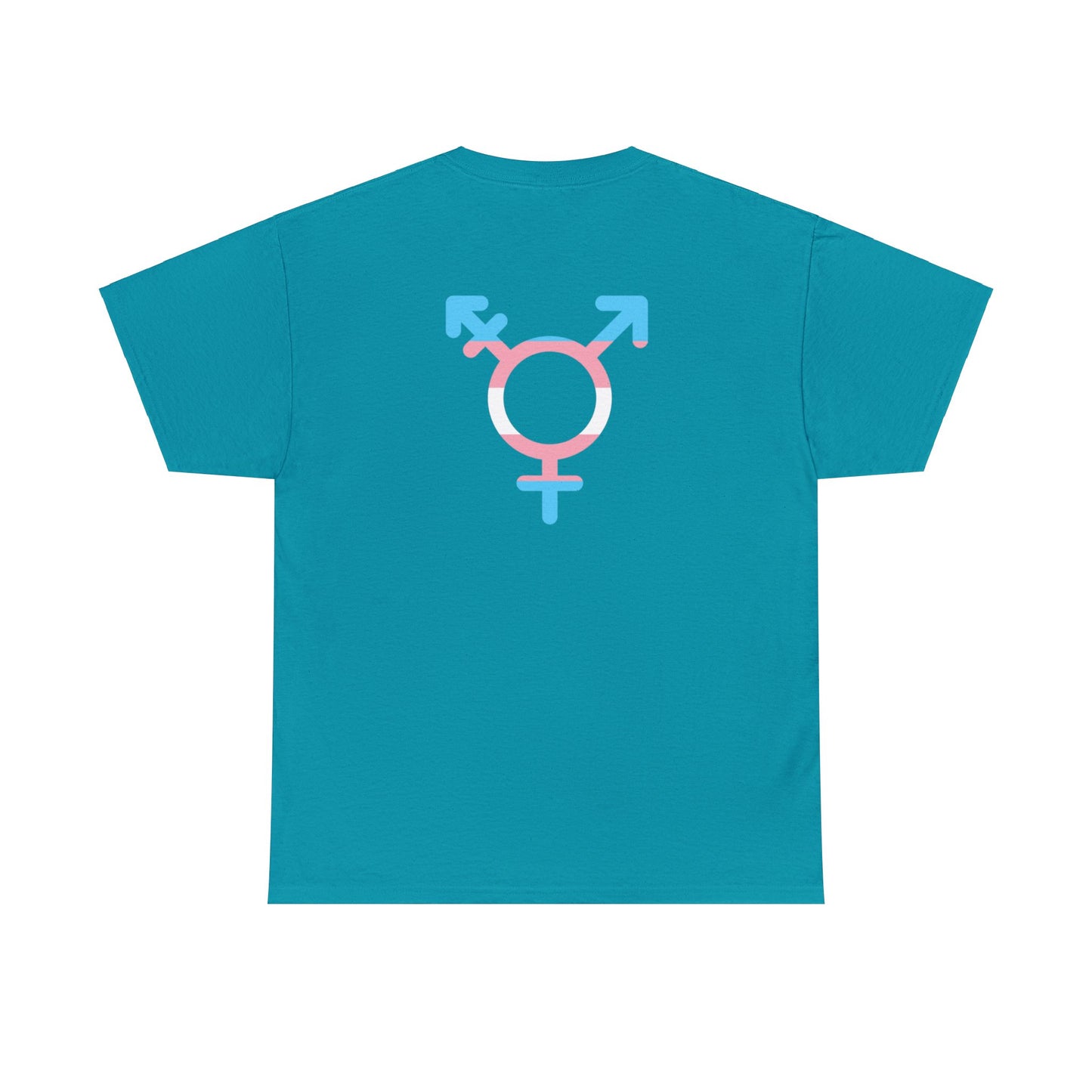 Unisex Heavy Cotton Tee Design On Both Sides Adult/Teen Activewear Comes In Various Colors