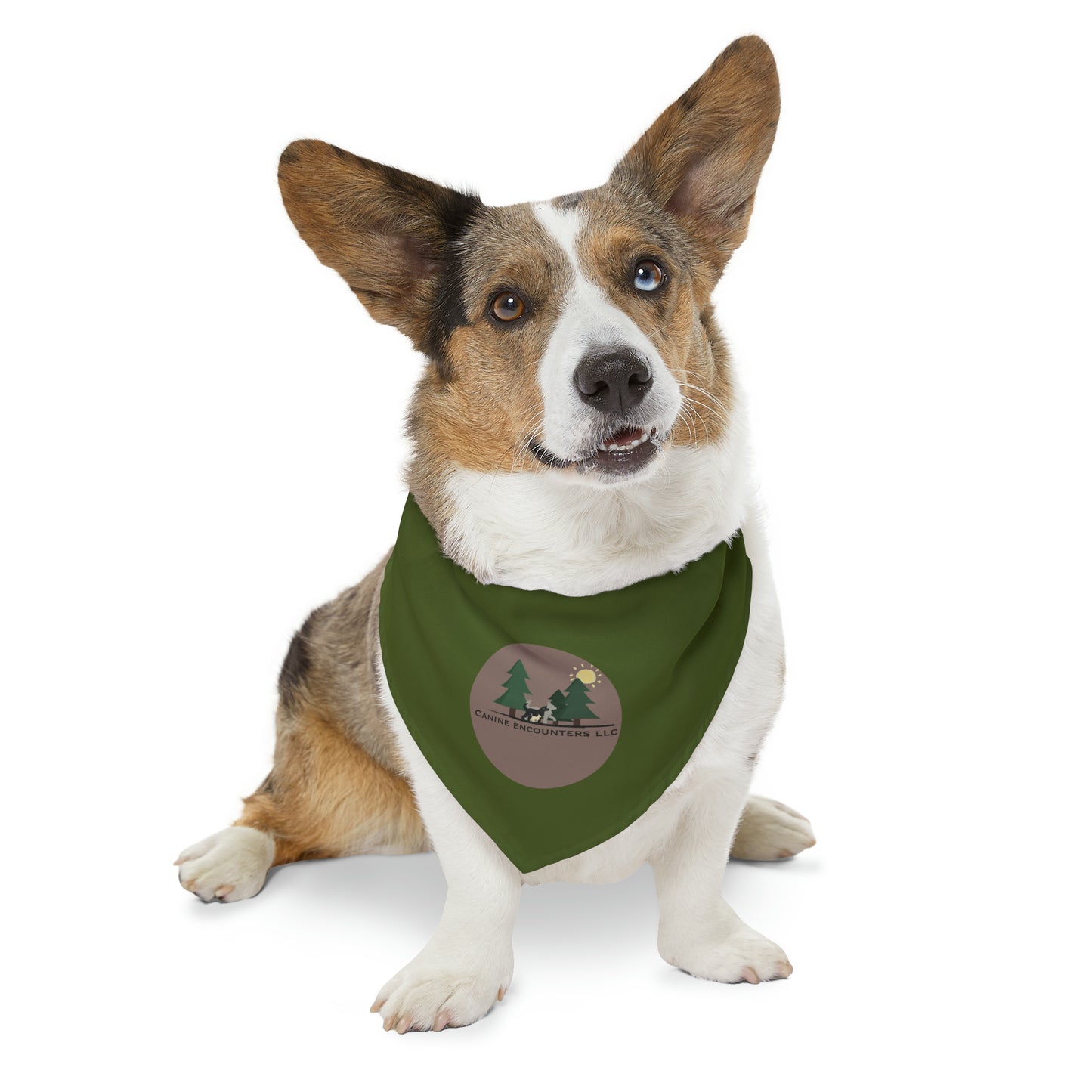 Samples Washable Pet Bandana Collar For Lost Pup