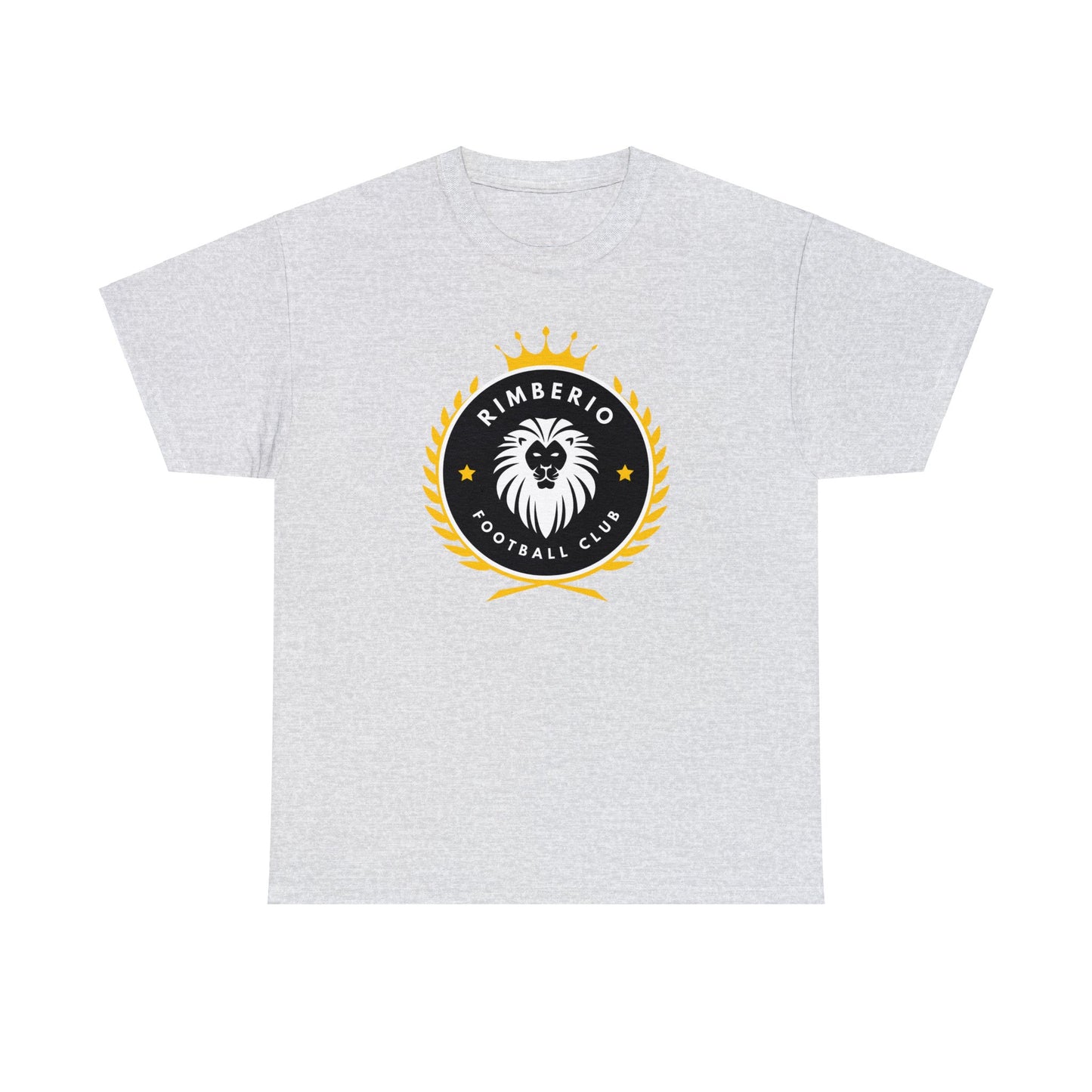 Unisex Heavy Cotton Tee Adult/Teen Activewear Shirt Comes In Many Colors