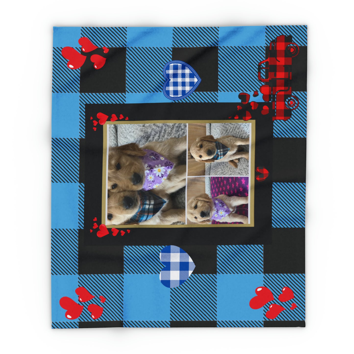 Arctic Fleece Blanket Donna Carter