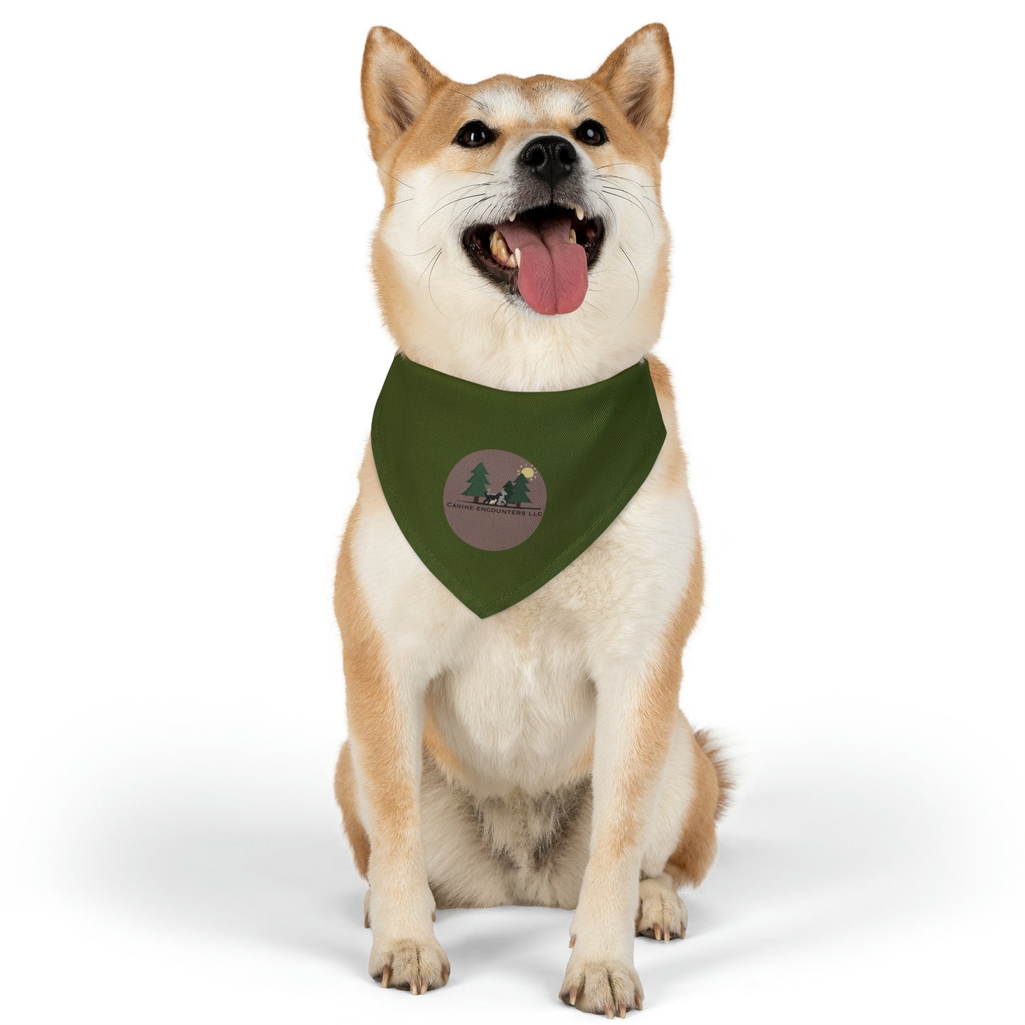 Samples Washable Pet Bandana Collar For Lost Pup