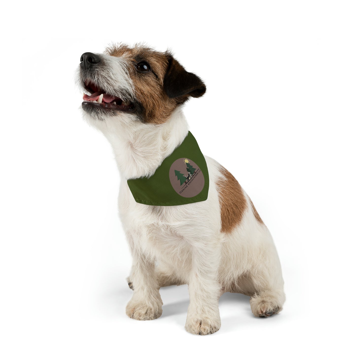 Samples Washable Pet Bandana Collar For Lost Pup
