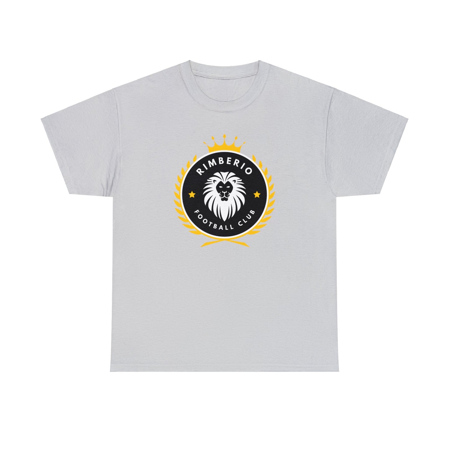 Unisex Heavy Cotton Tee Adult/Teen Activewear Shirt Comes In Many Colors