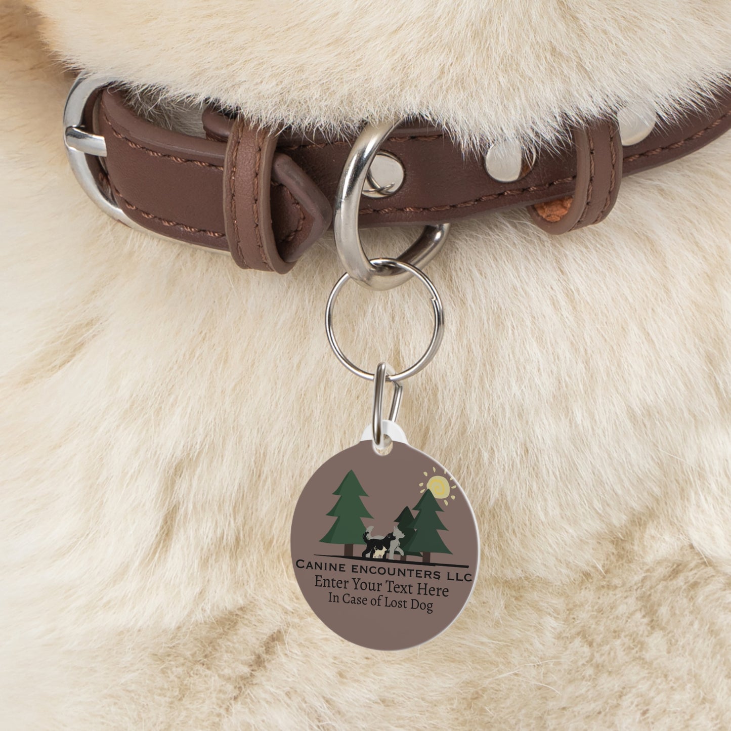 Sample Pet Tag Here Are Samples I Have Almost Anything You Can Think Of Including, Stickers, Calanders, Bumper Stickers Etc.