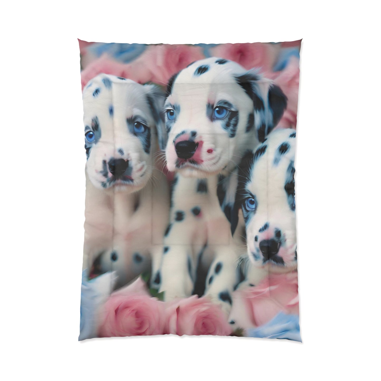 Comforter