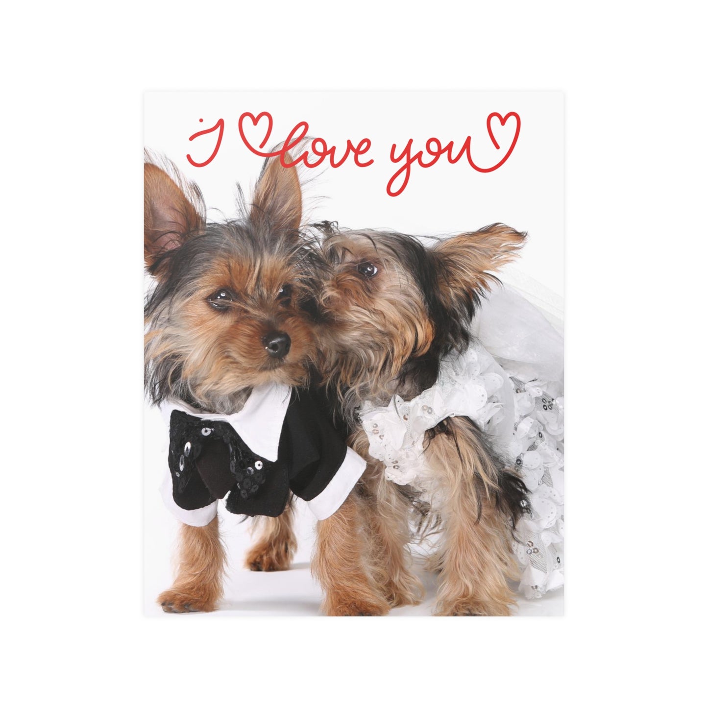 Satin Posters (210gsm) Adult/Teen Accesories
