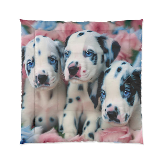Comforter