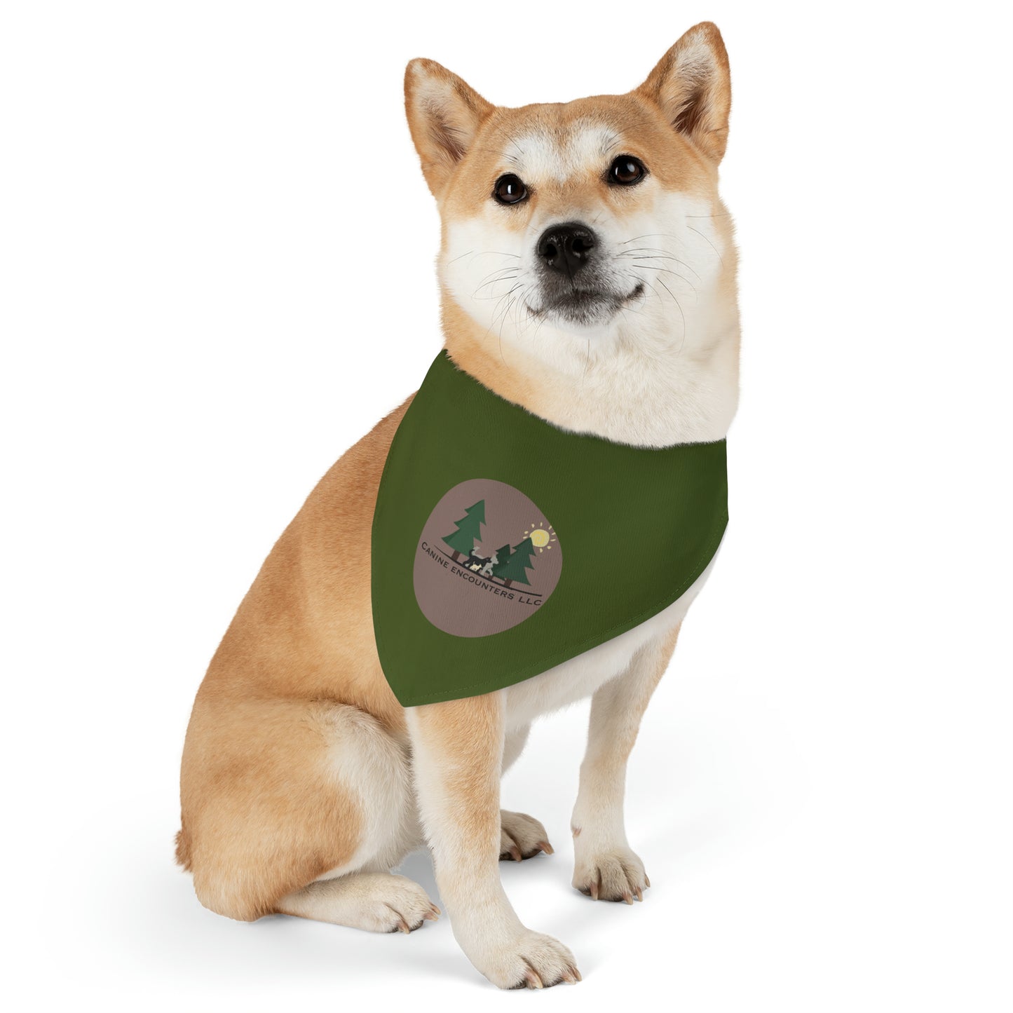 Samples Washable Pet Bandana Collar For Lost Pup