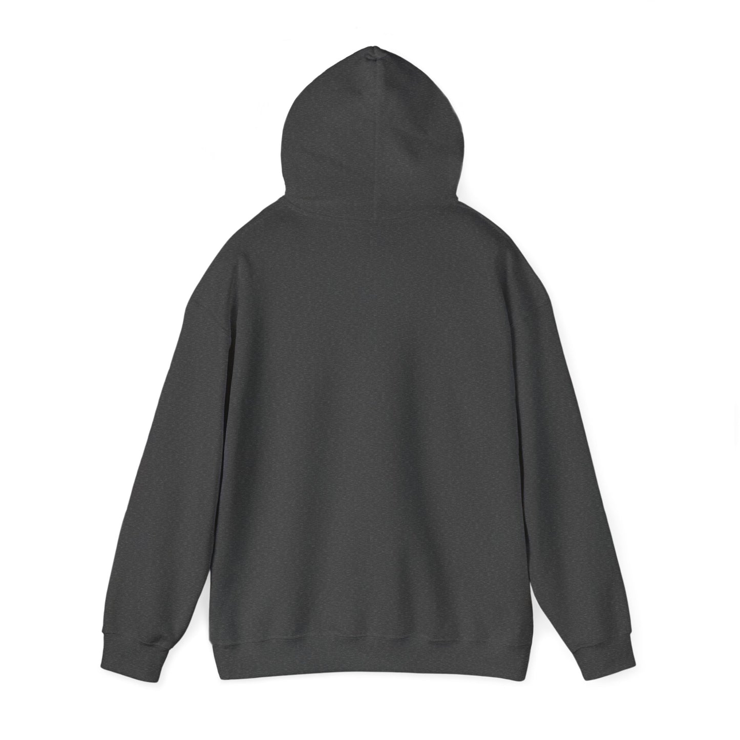 Unisex Heavy Blend™ Hooded Sweatshirt Adult/Teen Activewear Comes In Various Colors