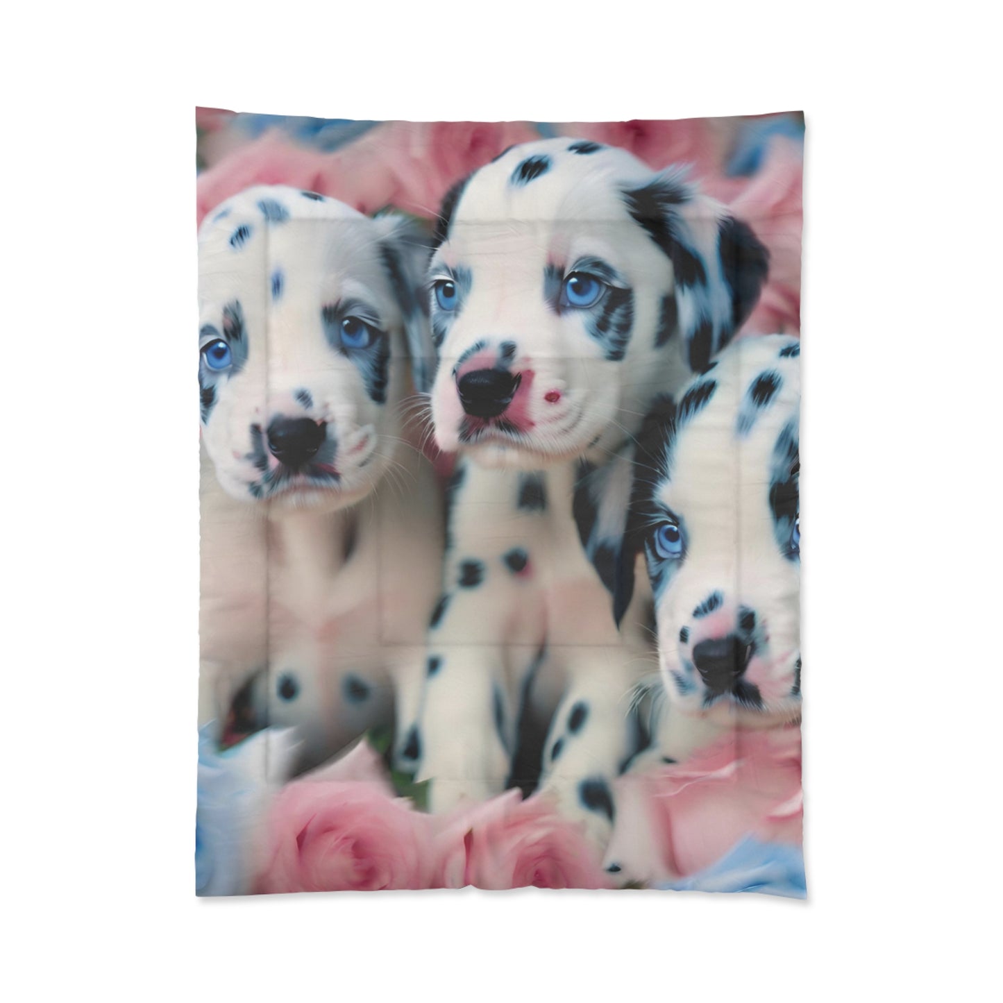 Comforter