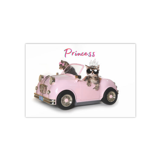 Satin Posters (300gsm) Kid's Accessories Decor Princess