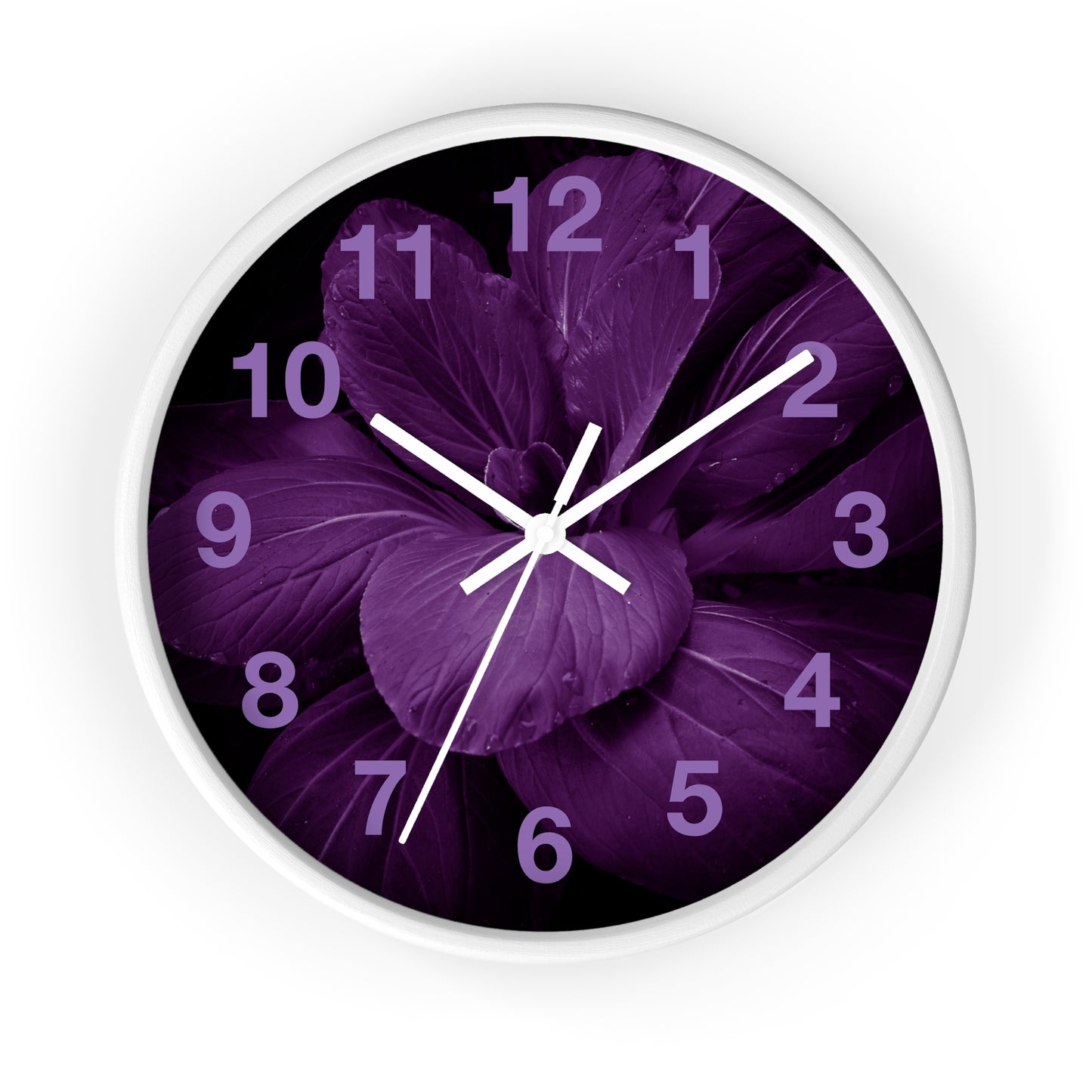 Wall Clock Has Matching Products Sold Separate. One Comforter Two Pillow Sams And A Lamp, With Shipping Under 268$. Pick Your Own Image For Free Please Call, Matching Rugs Curtains And Clocks Also Available